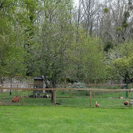 La Cabane De Merlin Les Molières Esterno foto